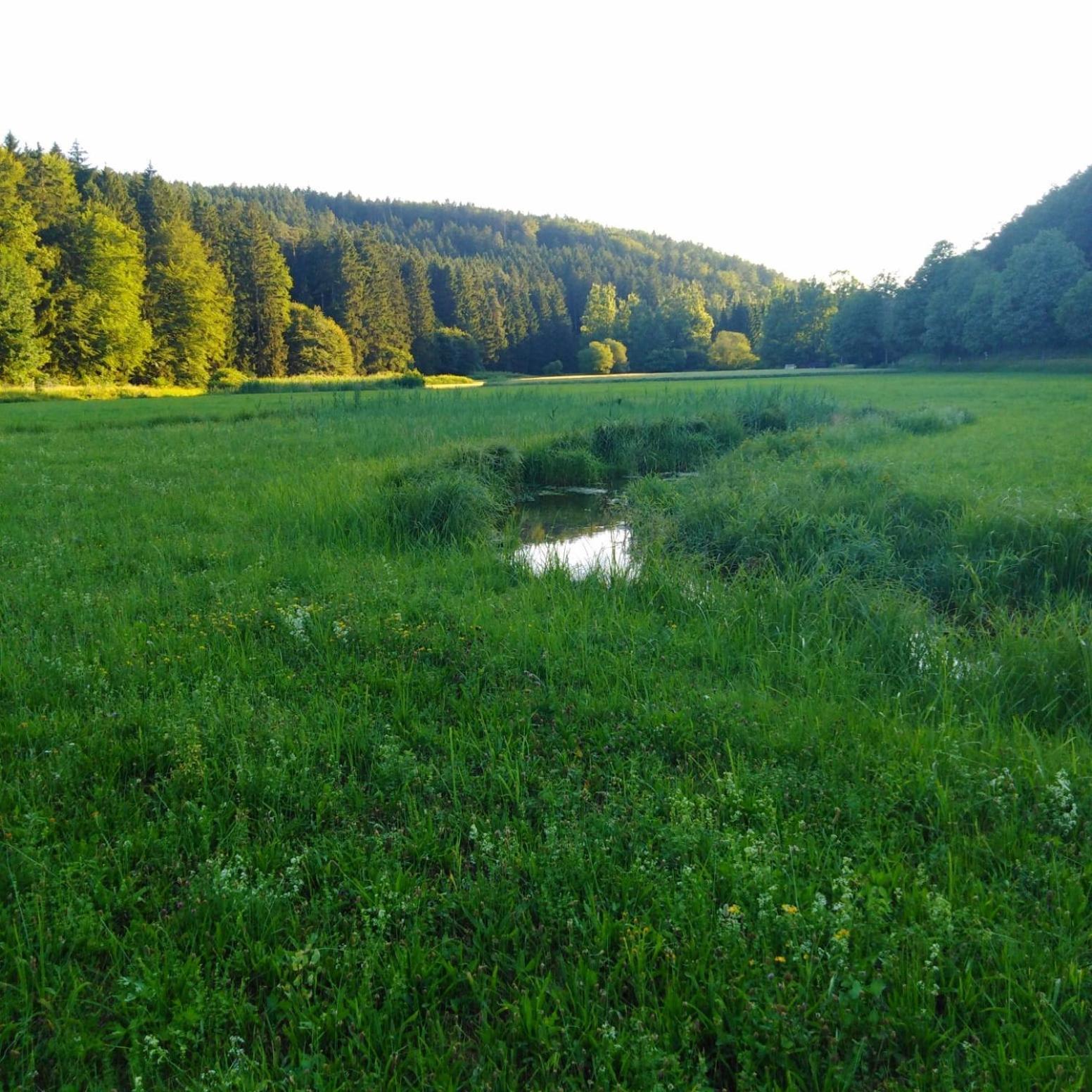 Ferienhaus Am Bach Mit Grossem Garten Deuerling Kültér fotó